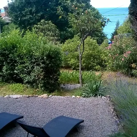 Edmea * Rijeka